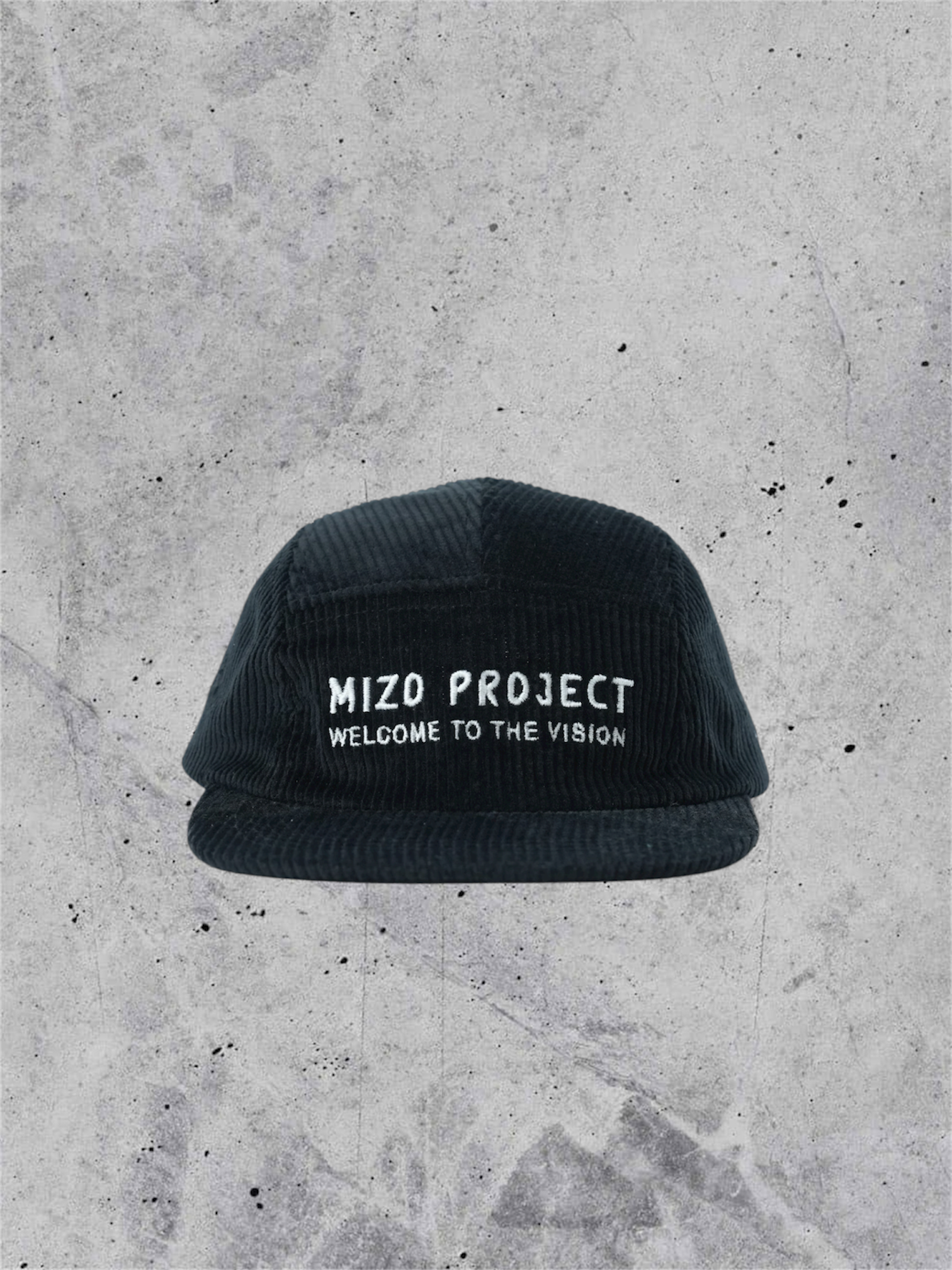 5 panel cap_001