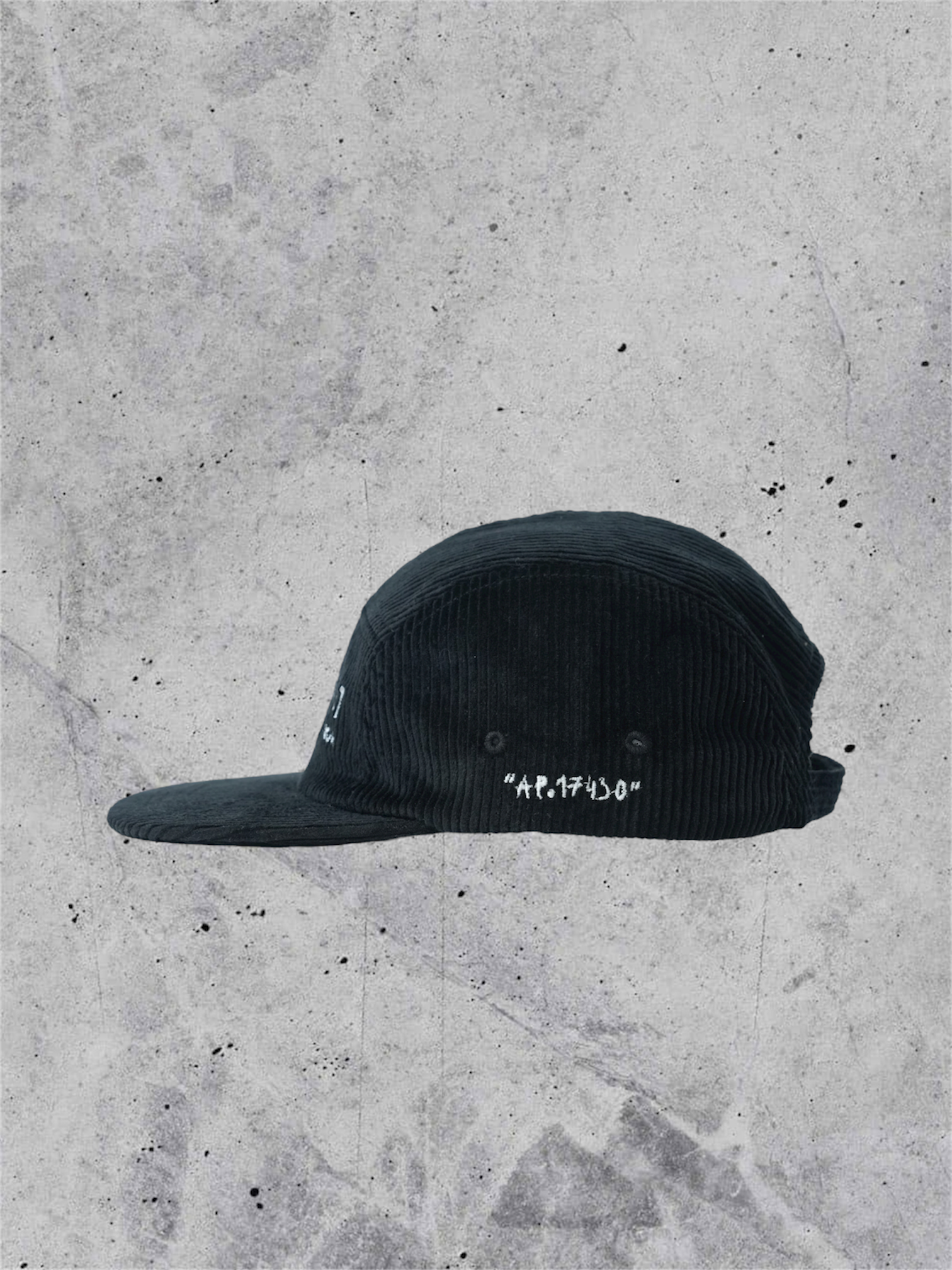 5 panel cap_001